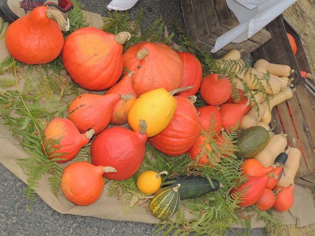 Village en fete 1